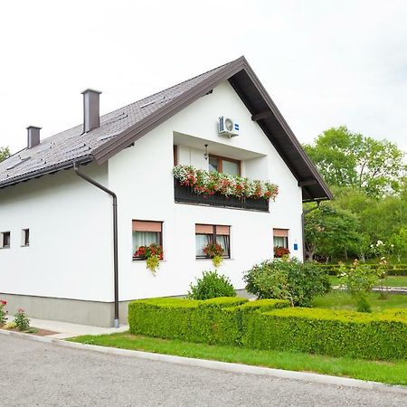 Apartment Lena Gornji Vaganac Zewnętrze zdjęcie