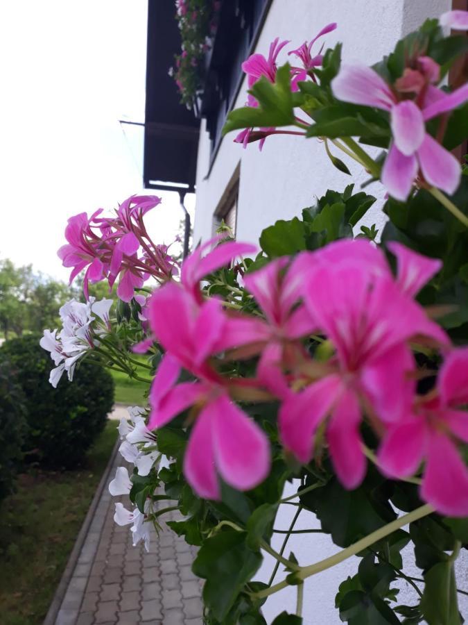 Apartment Lena Gornji Vaganac Zewnętrze zdjęcie