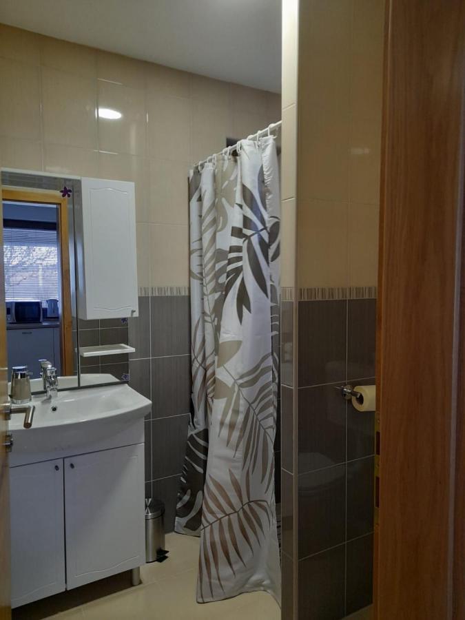 Apartment Lena Gornji Vaganac Zewnętrze zdjęcie
