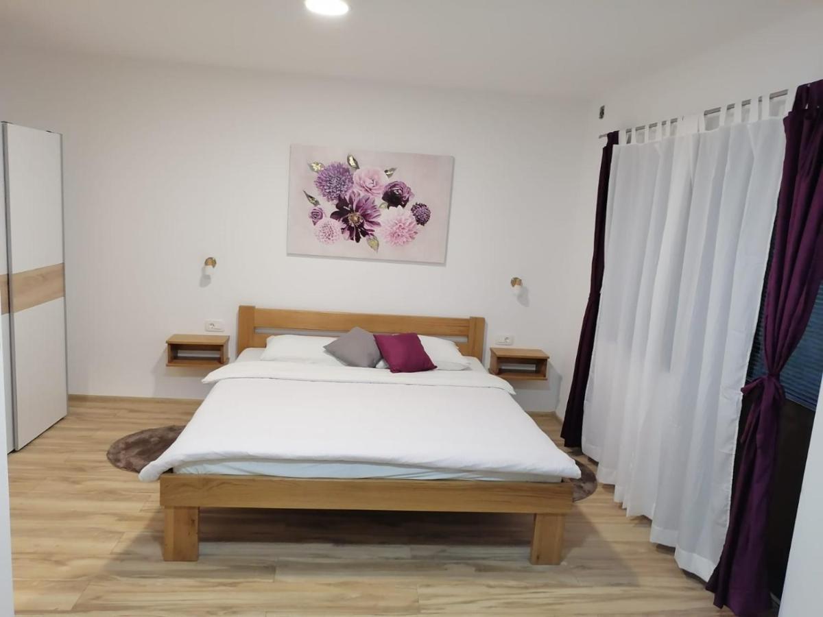 Apartment Lena Gornji Vaganac Zewnętrze zdjęcie