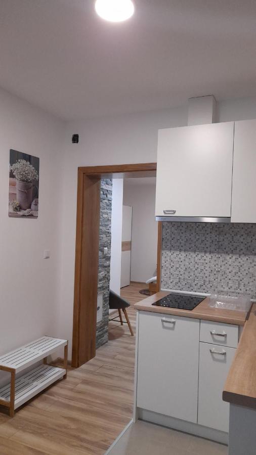 Apartment Lena Gornji Vaganac Zewnętrze zdjęcie