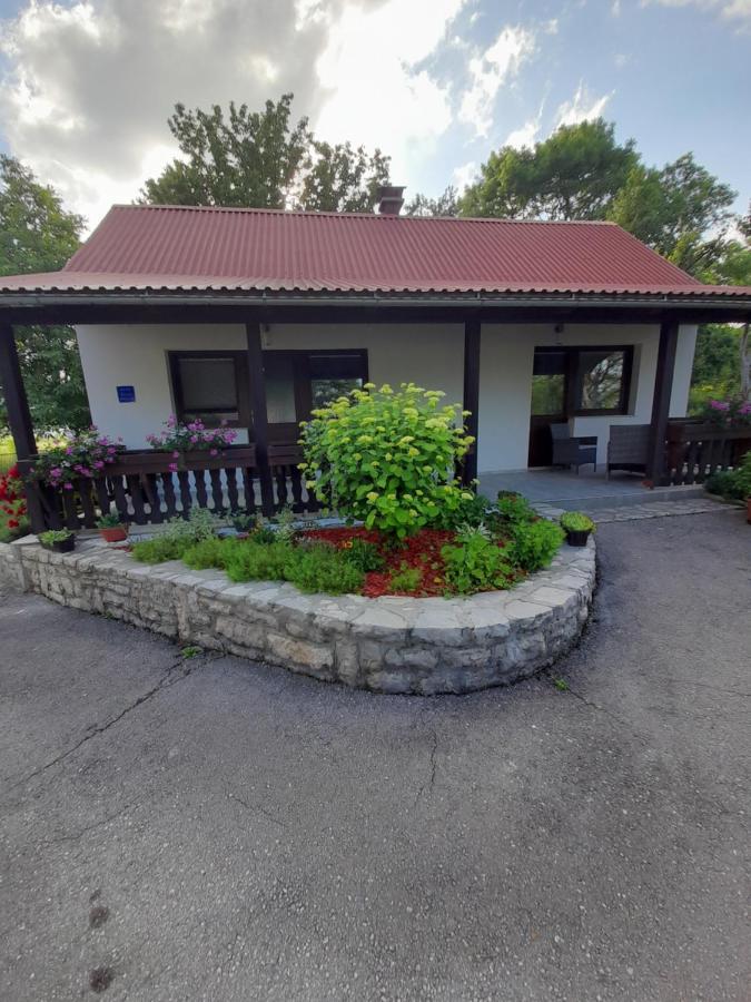 Apartment Lena Gornji Vaganac Zewnętrze zdjęcie