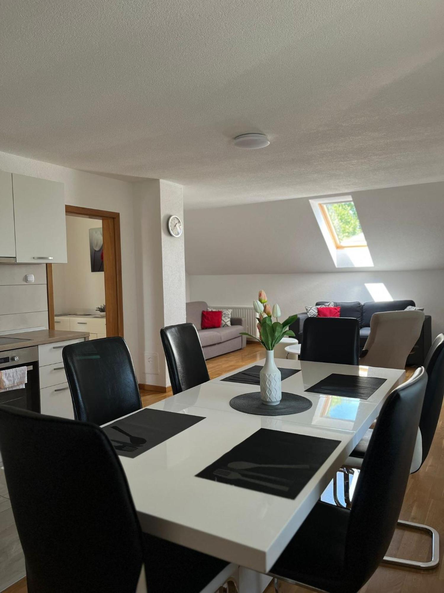 Apartment Lena Gornji Vaganac Zewnętrze zdjęcie